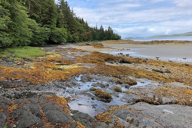 Ketchikan Electric Bike and Rain Forest Hike Ecotour - Physical demands and who should book