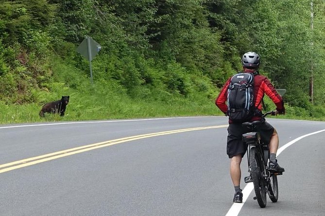 Ketchikan Electric Bike and Rain Forest Hike Ecotour - Riding Ketchikan’s Road to Nowhere