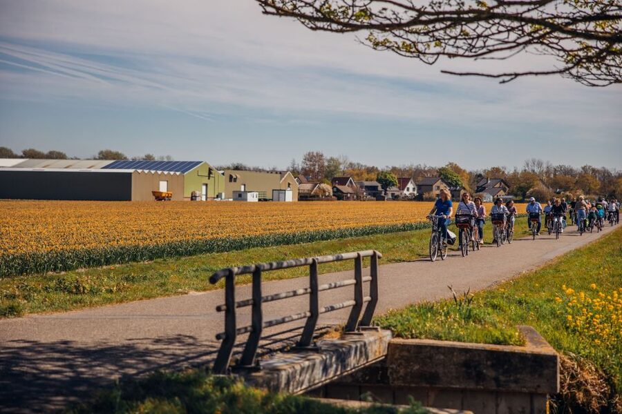 Keukenhof: Flower Fields Small-Group Cultural Bike Tour - Key points before you book