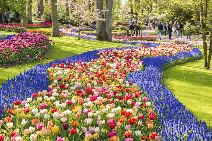 Keukenhof: Flower Fields Small-Group Cultural Bike Tour - Returning to Keukenhof and planning the rest of your day
