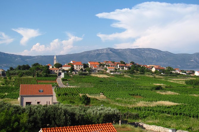 Korcula Bike & Wine Tour | Wine Tasting in Lumbarda - First winery: local wine with a sense of place