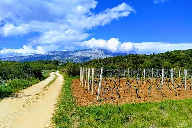 Korcula Bike & Wine Tour | Wine Tasting in Lumbarda - The ride through Lumbarda’s countryside