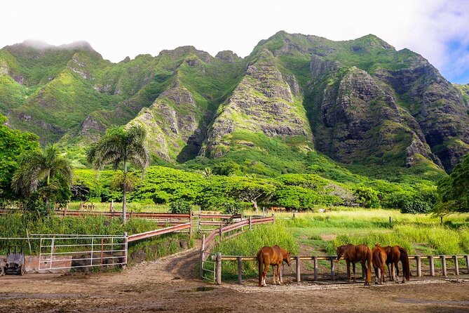Kualoa Ranch: Novice E-Bike - Key points to know before booking