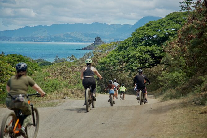Kualoa Ranch: Novice E-Bike - Movie locations and ranch stories