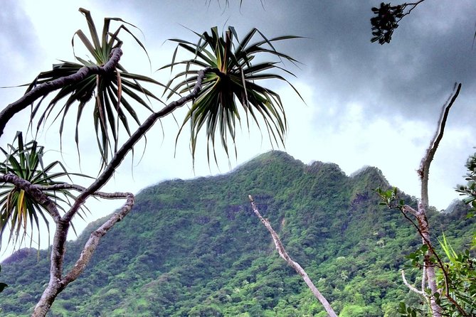 Kualoa Ranch: Novice E-Bike - Timing, check-in, and what to bring