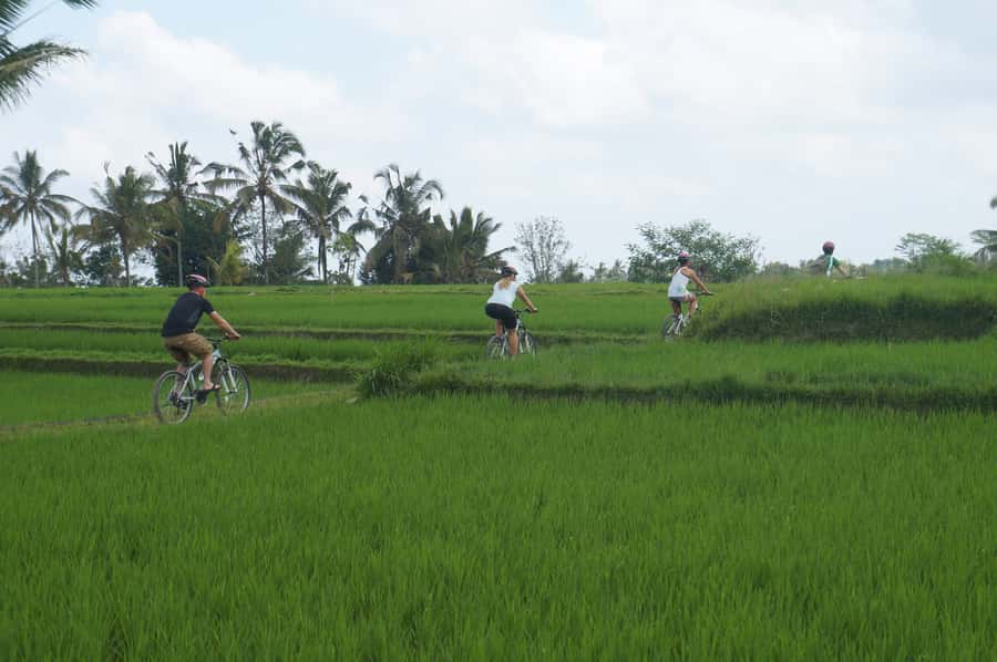 Kuta: Kintamani Culture and Nature Guided Cycling Tour - Why this ride is a good change from Bali’s busy roads