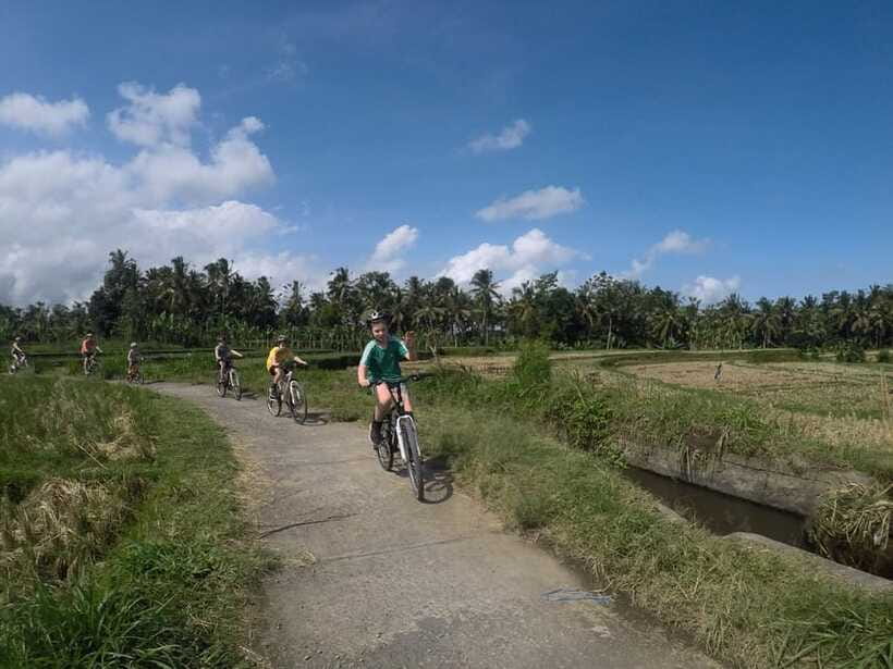 Kuta: Kintamani Culture and Nature Guided Cycling Tour - What $36 includes and what it leaves out