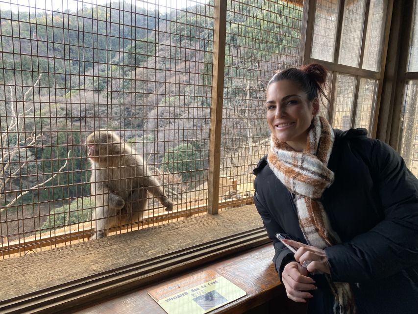 Kyoto: Afternoon Bamboo Forest and Monkey Park Bike Tour - The tour at a glance