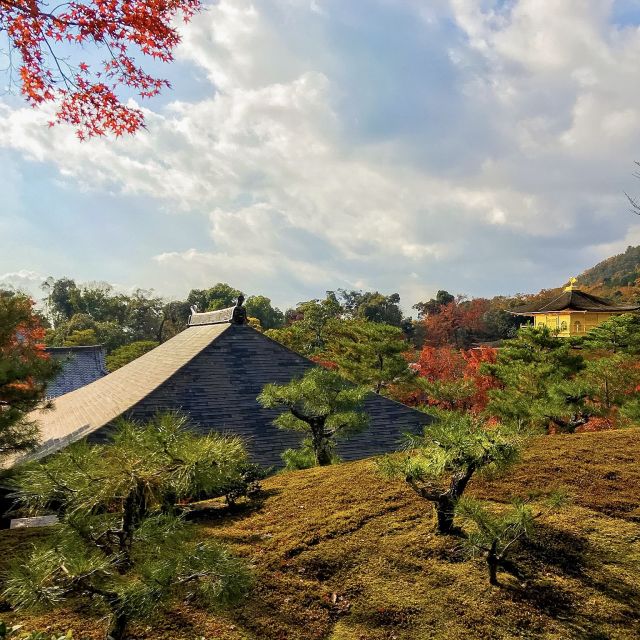 Kyoto: City Secrets eBike Tour - Geisha streets, shrines, and local Kyoto