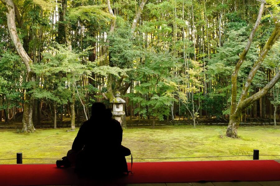 Kyoto: City Secrets eBike Tour - How the guides shape the experience