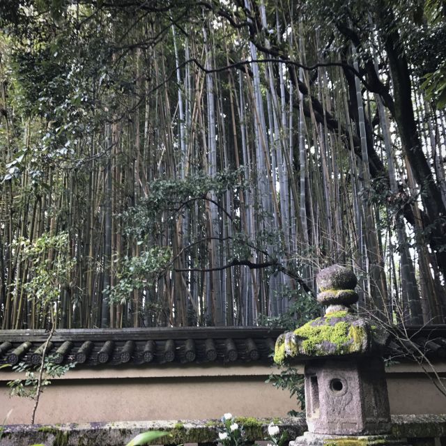 Kyoto: City Secrets eBike Tour - Is $127 a fair price?