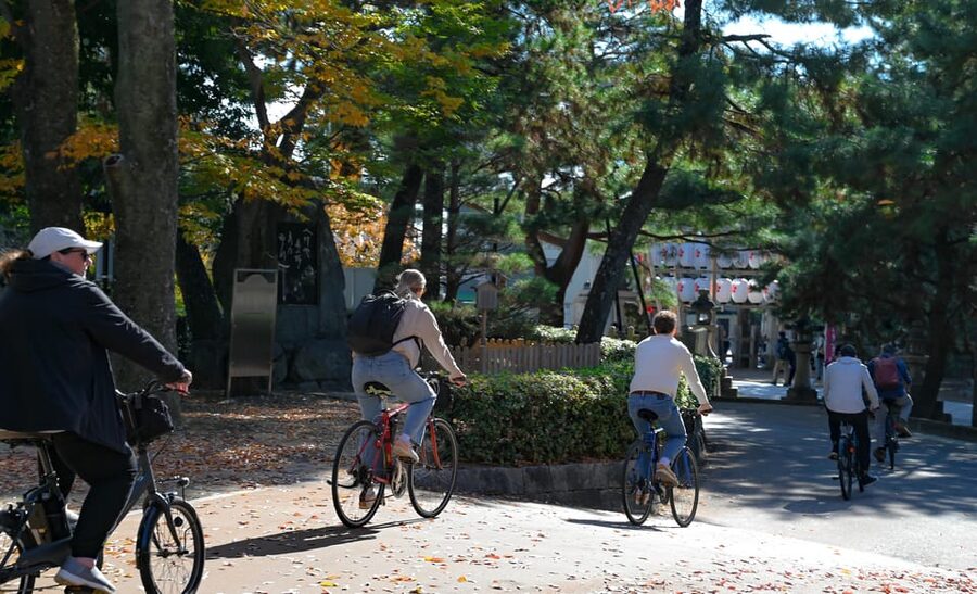 Kyoto: Full Day Bike Tour - A Japanese lunch that adds real value