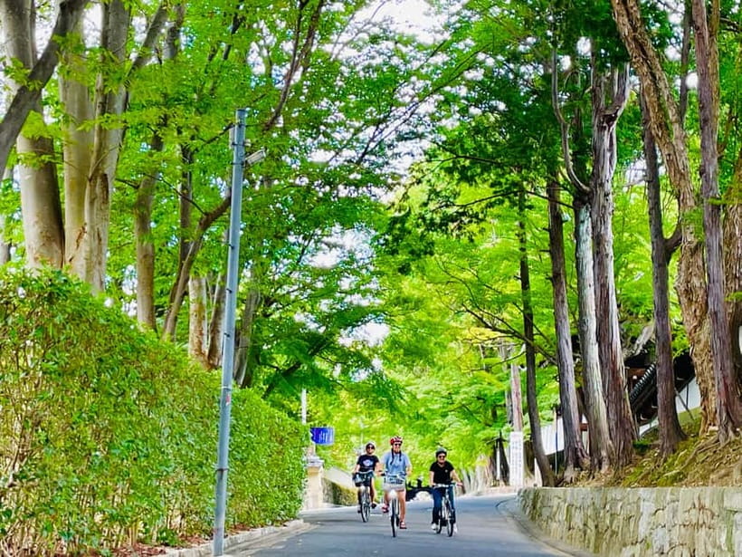 Kyoto: Fushimi Inari Shrine and Tofukuji Temple E-Bike Tour - Fushimi Inari Shrine without treating it as a photo stop