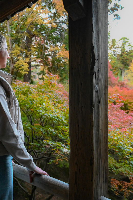 Kyoto: Half-day Guided Bike Tour with Fushimi Inari - Tofukuji: a 30-minute picture stop