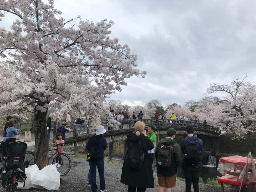 Kyoto: Memory Kyoto E-Bike Tour - Tenryuji Temple and one of Kyoto’s finest gardens