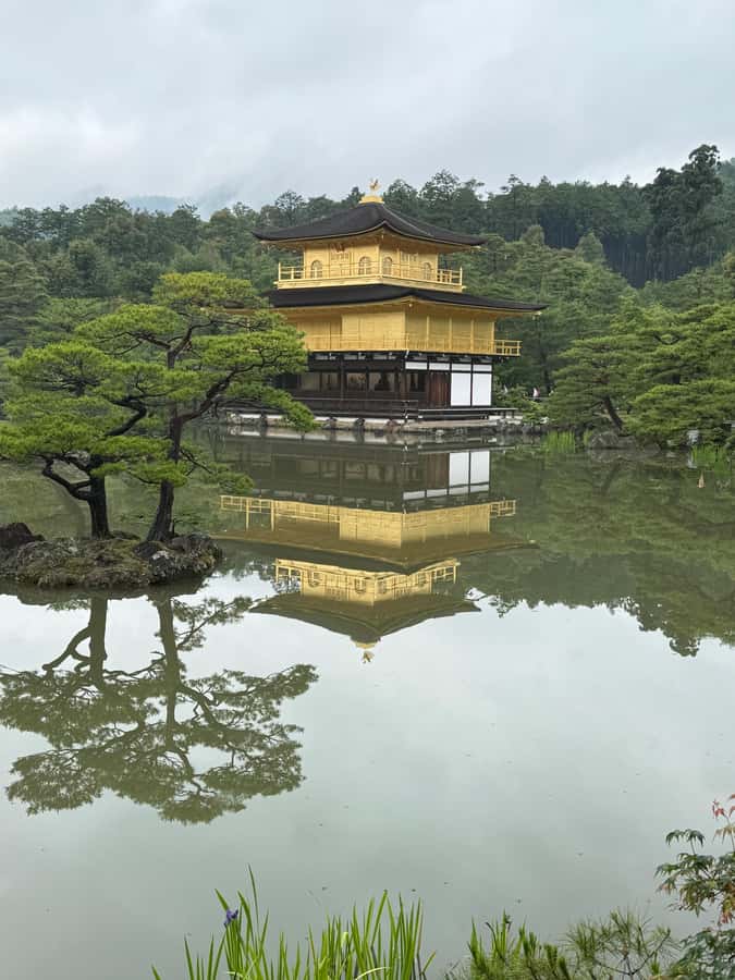 Kyoto: Memory Kyoto E-Bike Tour - Guides who make the difference