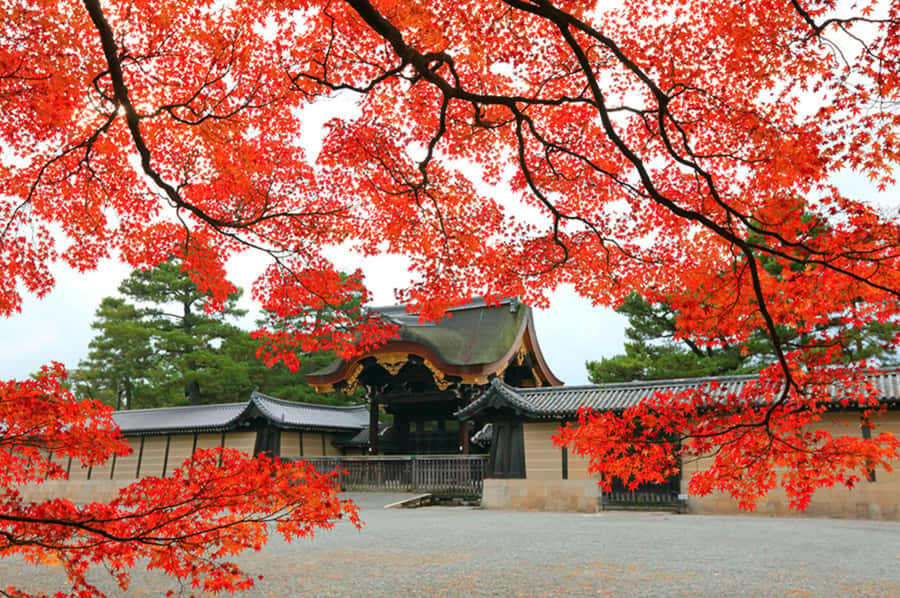 Kyoto: Tailored E-Bike Tour to Highlights & Hidden Gems - Food stops, wagashi, and local advice