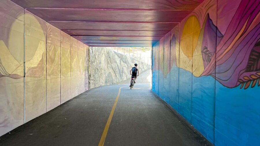 Lake Tahoe Lakeside Electric Bike Rental - Starting beside the Hyatt Regency in Incline Village