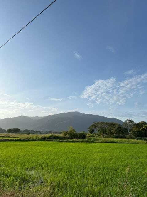 Langkawi: Countryside Bike Tour, Waterfall Swim & Dessert - Coffee, tea, and a taste of local dessert