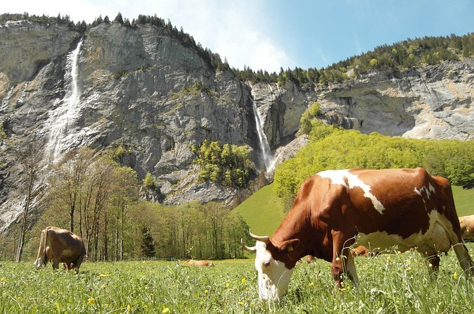 Lauterbrunnen Valley Waterfalls E-bike Tour with Swiss Picnic - What the $344.31 price really covers
