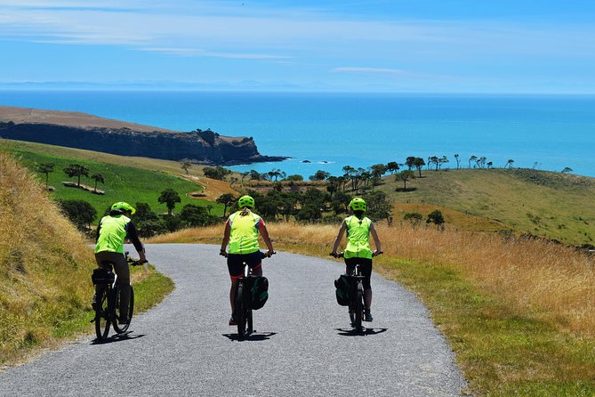Lava Loop- Guided electric mountain bike tour in Akaroa - Why the small group matters