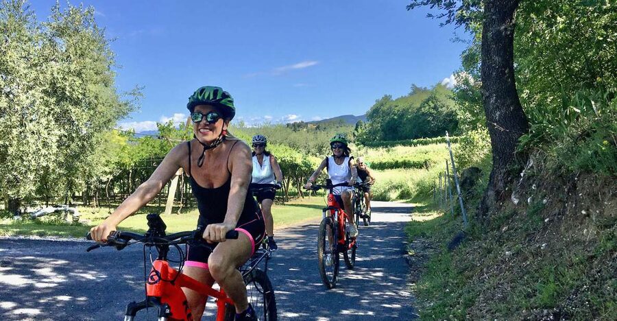 Lazise: Bike Tour and Wine Tasting - Who should book this Lazise experience?