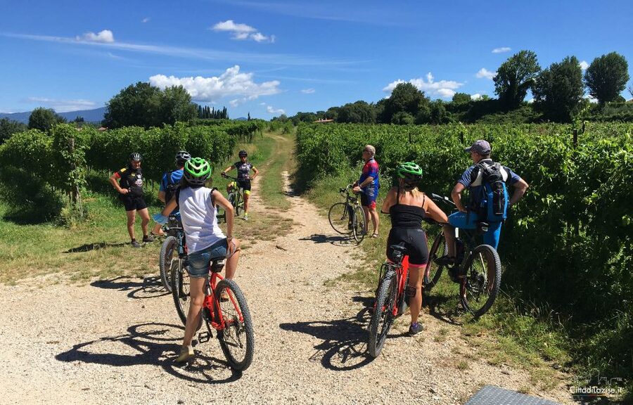Lazise: Bike Tour and Wine Tasting - Riding through vineyards and olive groves