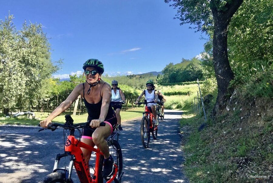 Lazise: Bike Tour and Wine Tasting - Meeting at Le Ginestre Winery outside Lazise