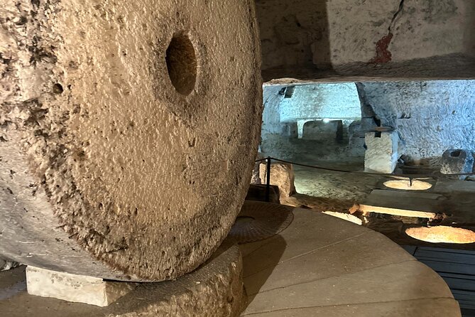 Lecce to Galatina E-Bike: Olive Mill & Wine Tasting + Taxi back - Who will enjoy this most
