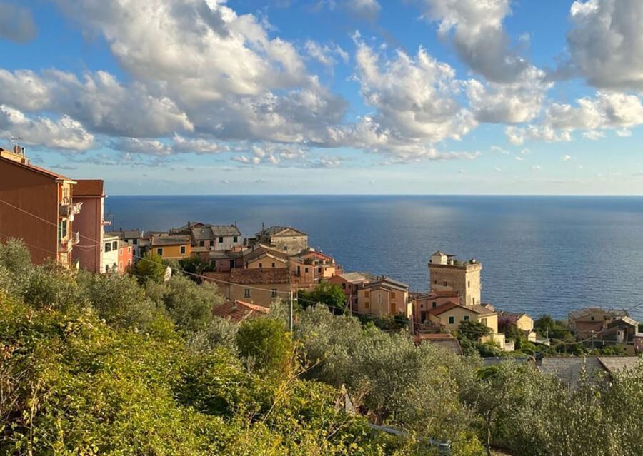 Levanto: Guided E-Bike Tour in Framura with Wine & Focaccia - Practical timing and booking advice