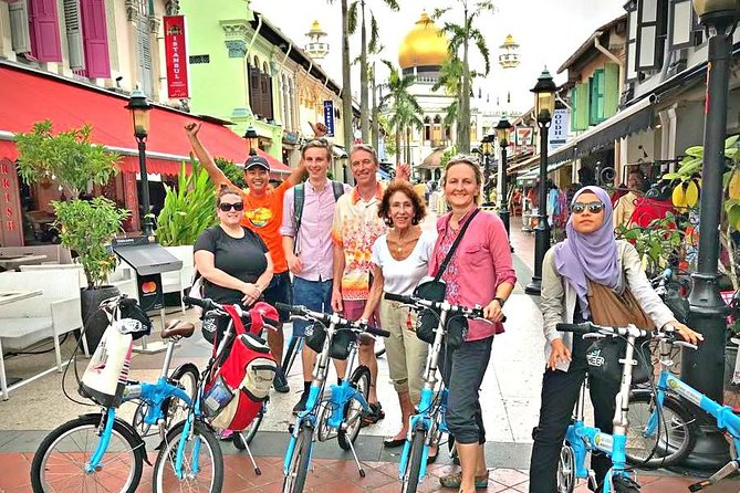 Lion City Bike Tour of Singapore - The National Museum and Singapore’s older European quarter