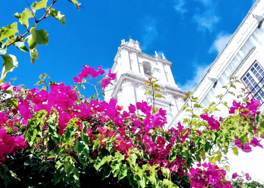 Lisbon: 7 Hills Panoramic Guided Tour by E-Bike - Senhora do Monte and the highest-feeling views
