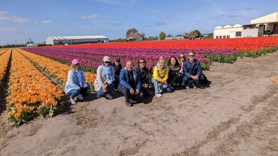 Lisse: Enjoy the Tulip Fields by Bike with a Local Guide! - Why Cycling Is a Smart Way to See Lisse’s Flowers