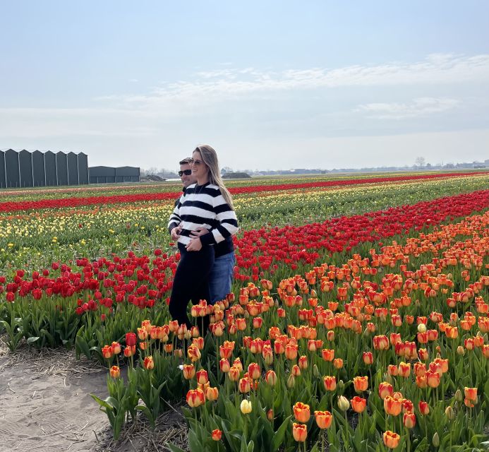 Lisse: Enjoy the Tulip Fields by Bike with a Local Guide! - Small Details That Make the Ride Easier