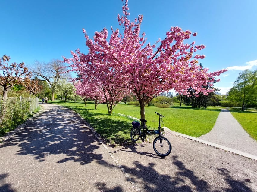 Ljubljana by E-Bike: Guided City Highlights Tour - The districts most visitors miss