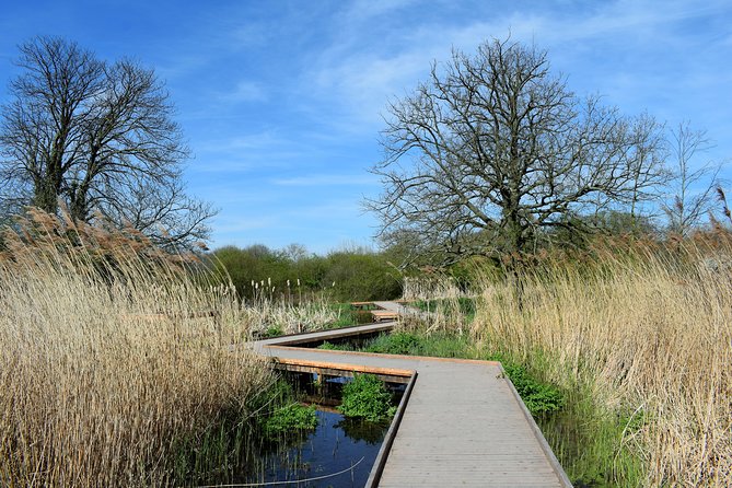 London's Best Kept Secret Bike Tour - Parks, gardens, and the industries that made fortunes