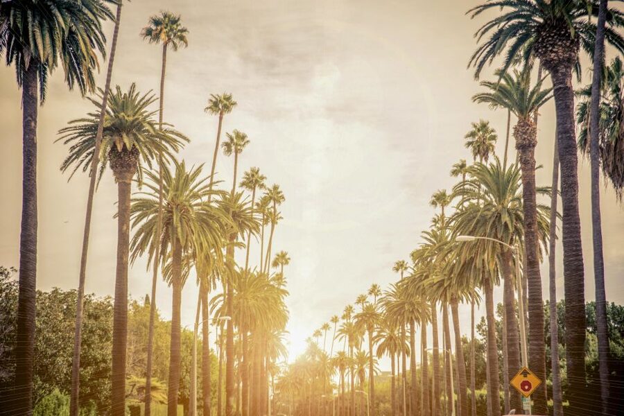 Los Angeles: LA in a Day Guided Electric Bike Tour - Culver City closes the loop