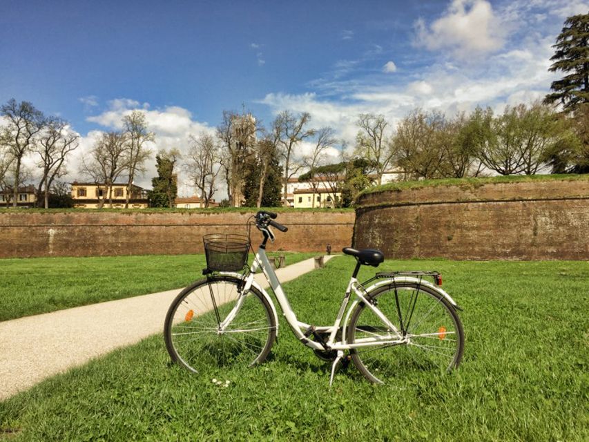 Lucca: City Bike One-Day Rental - Riding the 4.2-kilometer city walls
