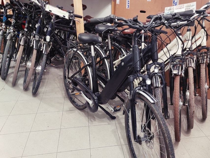 Lucca: E-Bike Rental - What the strongest feedback tells you