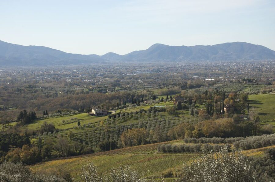 Lucca: Guided E-Bike and Wine Tour - Guides make the difference