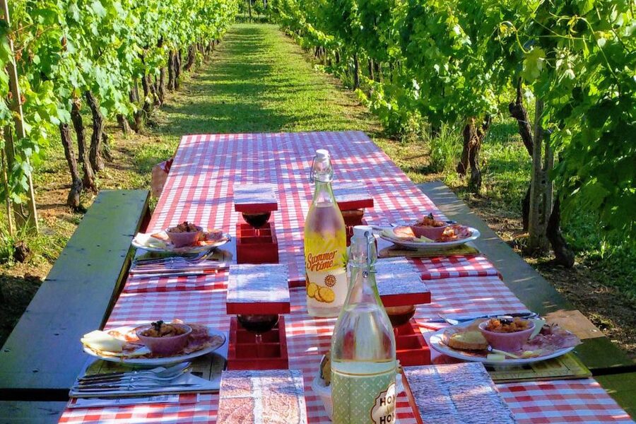 Lucca: Guided E-Bike and Wine Tour - What the $123.48 price includes
