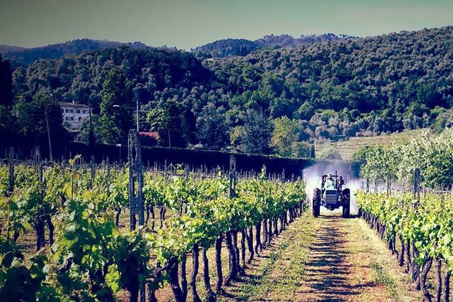 Lucca: Guided E-Bike and Wine Tour - Starting beside Lucca’s train station