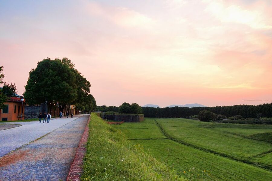 Lucca: Picnic Lunch at a Vineyard by Bike - Quick take: what makes this ride special