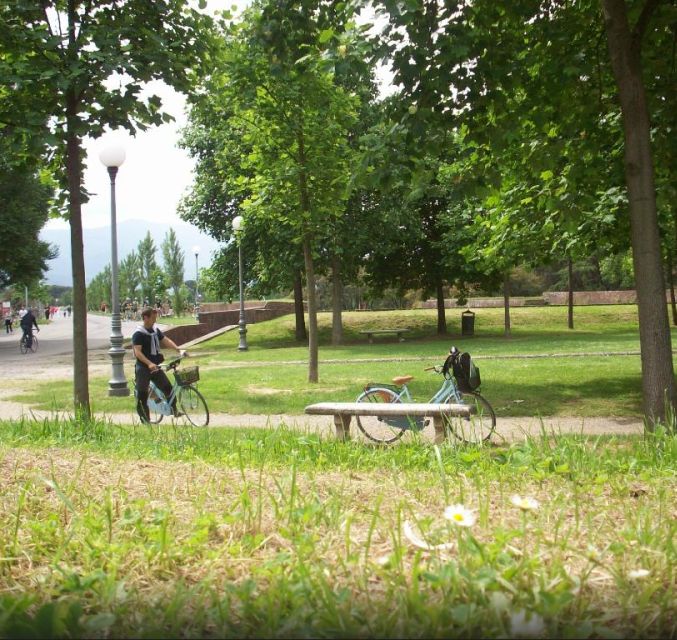 Lucca Sightseeing Tour by E-bike or City bike - Riding the full 4.2 kilometers of Lucca’s walls