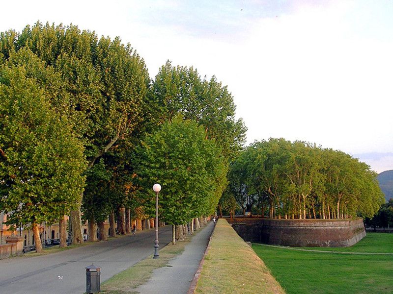 Lucca Sightseeing Tour by E-bike or City bike - Piazza Anfiteatro, the city’s most distinctive square