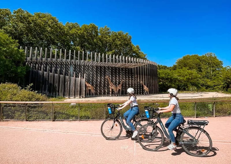 Lyon: Guided City Bike Tour - Bellecour and the Rhône Riverbanks