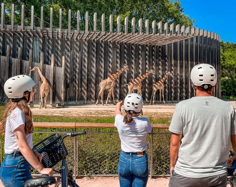 Lyon: Guided City Bike Tour - Price, Value, and Who Should Book
