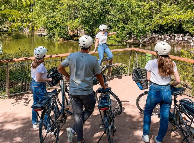 Lyon: Tête d'Or park on an electric bike Tour - What the electric bike changes