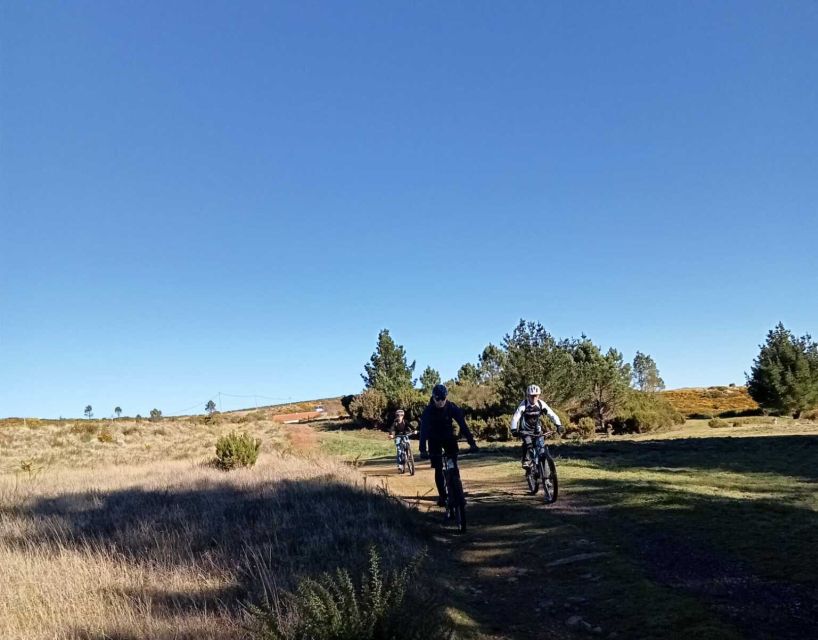 Madeira Botanical Levels Bike Tour – Scenic Trail Experience - The last 10 kilometers: fast, paved, and brake-heavy