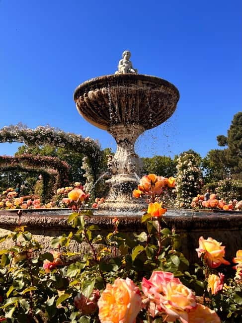 Madrid: Magic Retiro Park Bike Tour - Key points to know before booking